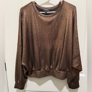 Express women’s shimmering brown top size L